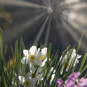 Фотография от Светлана Балыкова