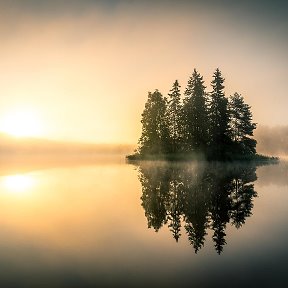 Фотография от Шарьинское лесничество