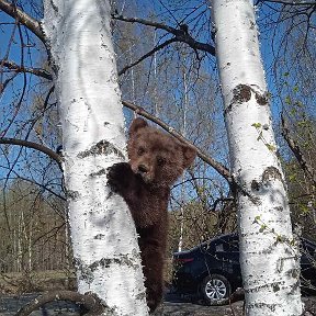 Фотография от Владимир Голубев