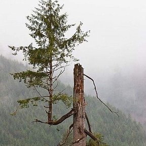 Фотография от Наталия Сергеечева