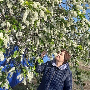 Фотография от Наталья Гордиенко(Патлатая)