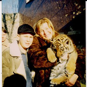 Фотография "В Николаевском зоопарке с Уссурийским тигром"