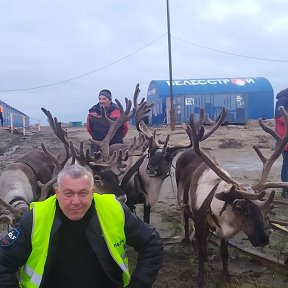 Фотография от Александр Козлитин