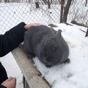 Фотография от Павел Болонин