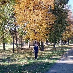 Фотография от Александра Баженова