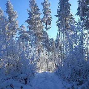 Фотография "г. Хилок "