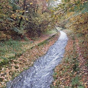 Фотография от Елена Данилова (Костюкова)