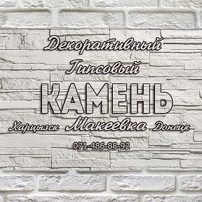 Дмитрий Камнеделов