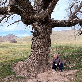 Фотография от Рашид Султангузин