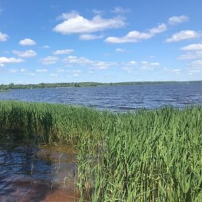 Фотография от сергей Фоломеев