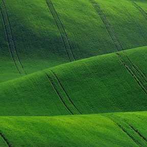 Фотография от Евгений Шадрин