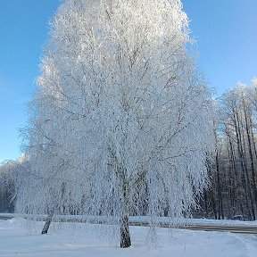 Фотография от Валентина Макарук