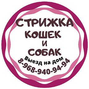 Фотография от ✂СТРИЖКА КОШЕК И СОБАК ВЫЕЗД НА ДОМ✂