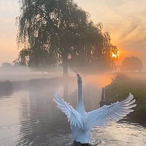 Фотография от Нюрочка Я