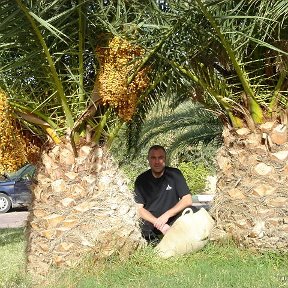 Фотография "посадил на даче репку, а выросли ананасы"
