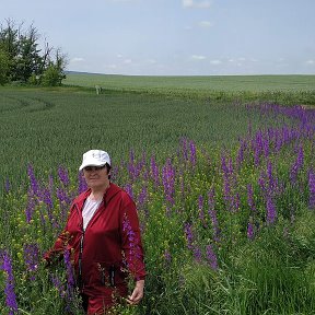 Фотография от Валя Горбатенко (Скворцова)