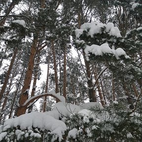 Фотография от Ольга Лушникова