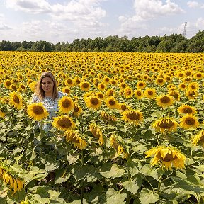 Фотография от Ольга Николаева