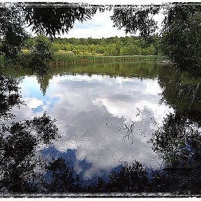 Фотография "Село Жилое . Лесной пруд. Июль 2022 г."