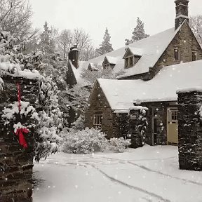 Фотография от Людмила Савенкова