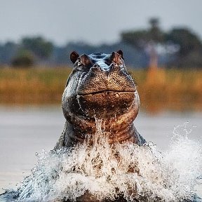 Фотография от ваня вано