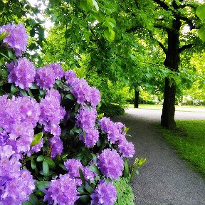 Фотография от Ирина Сорокина(Степанова)