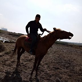 Фотография от Oybek Toshmatov