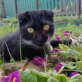 Фотография от Любовь Шилина (Кухаренко)