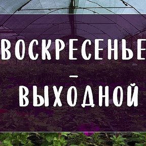 Фотография от Рекламное Интернет Агентство