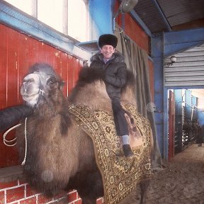 Фотография "подарок к 23 февралю от жены"