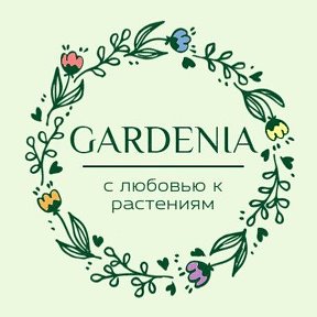 Фотография от GARDENIA Omsk