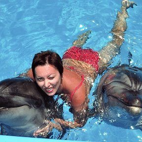 Фотография "купание с дельфинами"