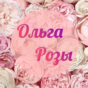 Фотография от Ольга Розы