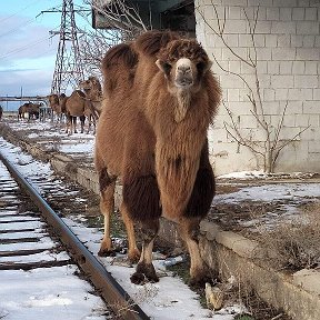 Фотография от Сергей Шабунин