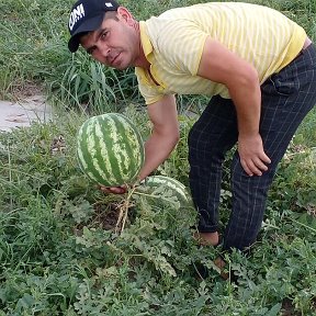 Фотография от Одилжон Мадаминов