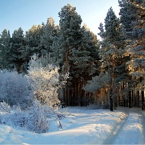 Фотография от Клара Анойикова (Павлюк)