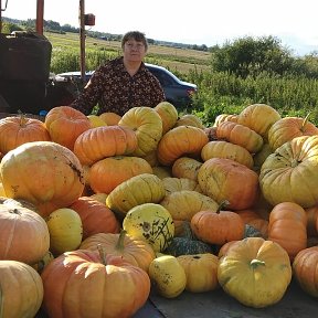 Фотография от Людмила Кайгородова