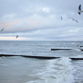 Фотография от Раиса РАСТОРГУЕВА