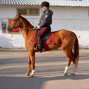 Фотография от Владимир Дидикин