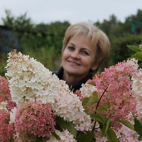 Фотография "Всем нам хорошей погоды"