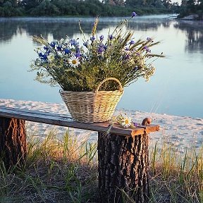 Фотография "Новый день - как чистый листик: Сам решаешь, что куда... Начинай с хороших мыслей - Всё приложится тогда..."