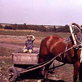 Фотография от Дмитрий Авдонин