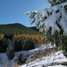 Фотография от Артём Порох