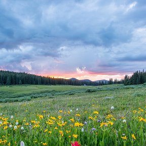 Фотография от Наталья Первухина семенкова