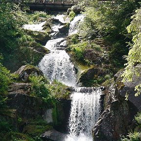 Фотография "Schwarzwald Wasserfall"