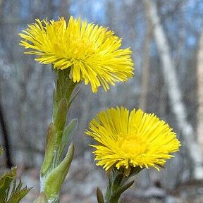 Фотография от Мария Лебедь (Киряш)