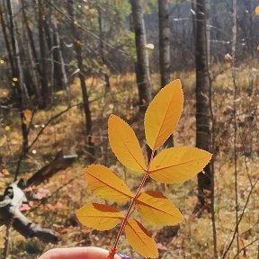 Фотография от Наталья Муртазина