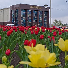 Фотография от ДК   ЦЕНТРАЛЬНЫЙ АНЖЕРО-СУДЖЕНСК