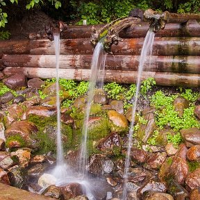 Фотография от Вероника Цветкова