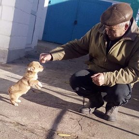 Фотография от Евгений Ганжела